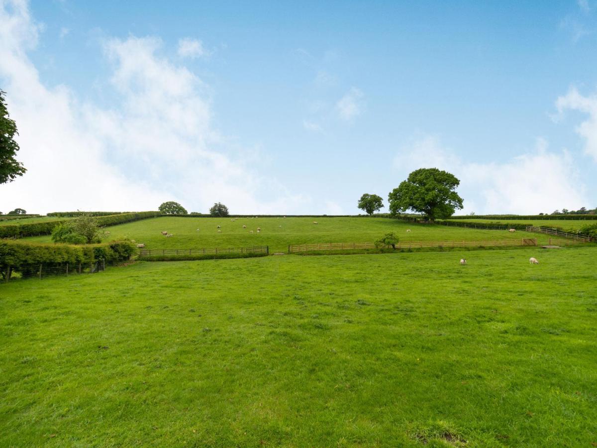 Brook Cottage Stearsby Exteriér fotografie